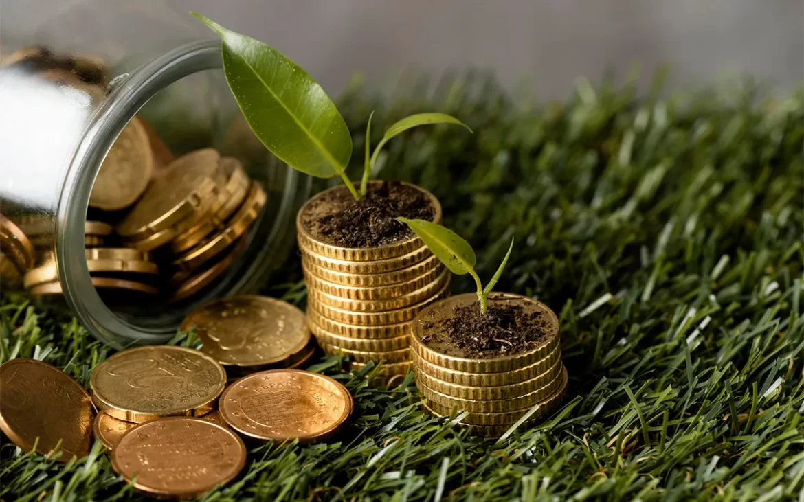 آیا خرید سکه برای سرمایه گذاری مناسب است؟