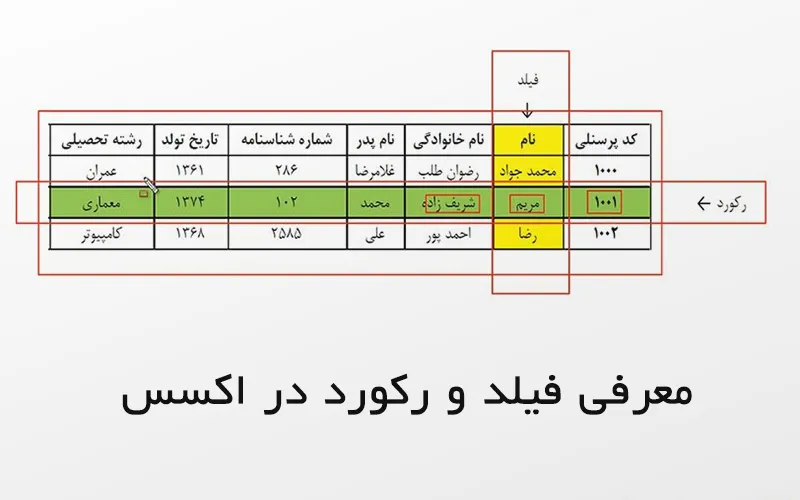 فیلد در اکسس چیست